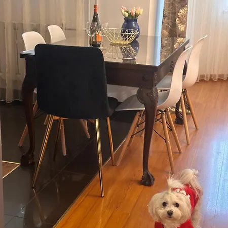 Diana - Traugutta * Wroclaw