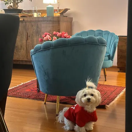 Diana - Traugutta ヴロツワフ